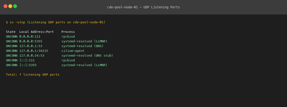 Puertos UDP listening en cde-pool-node-01